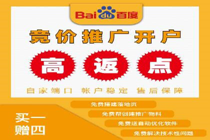 百度推广竞价实战：案例分析与优化策略
